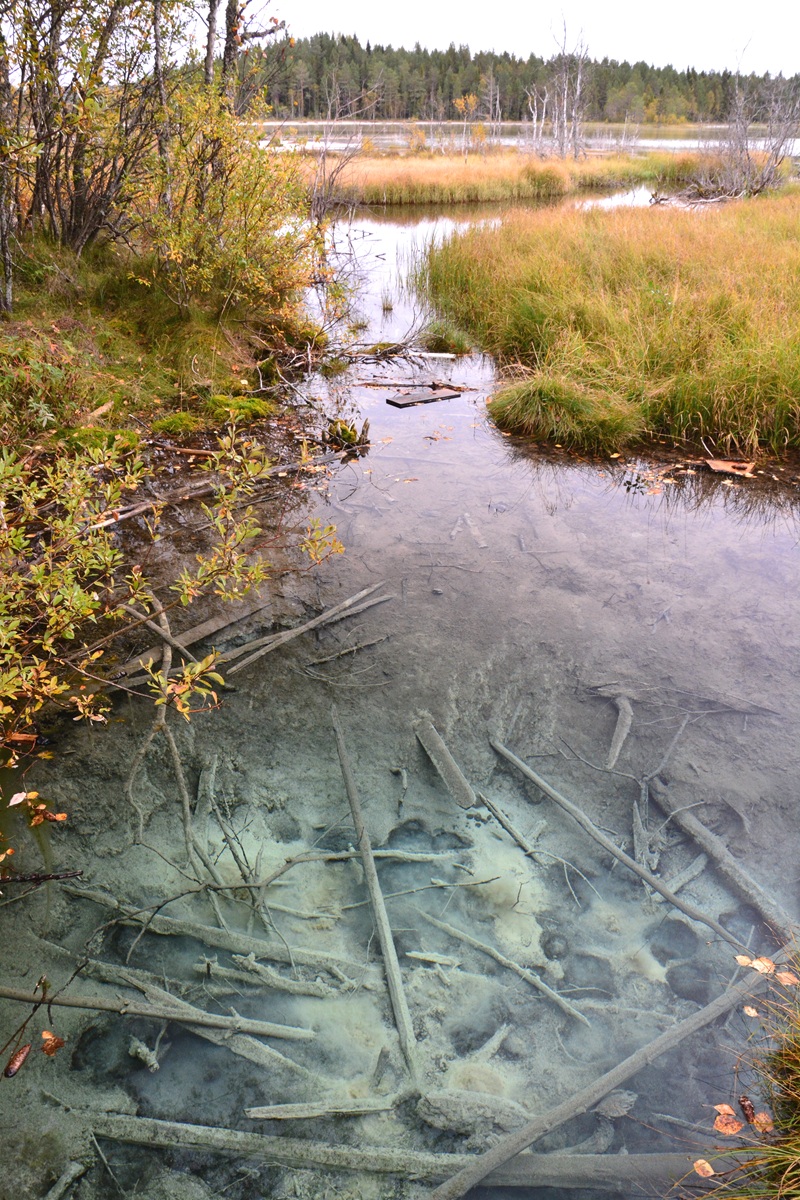 Quellbach Stora Blekekällan